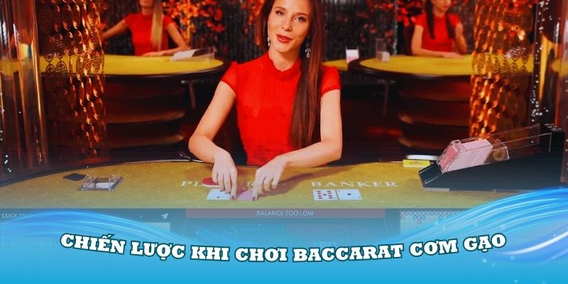 Bạn cần có chiến lược khi chơi baccarat cơm gạo