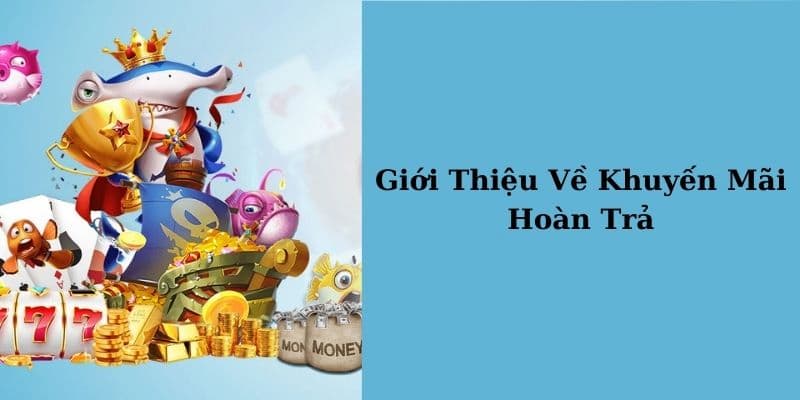 Về chúng tôi - Mang đến tỷ lệ hoàn trả vô cùng hấp dẫn cho thành viên