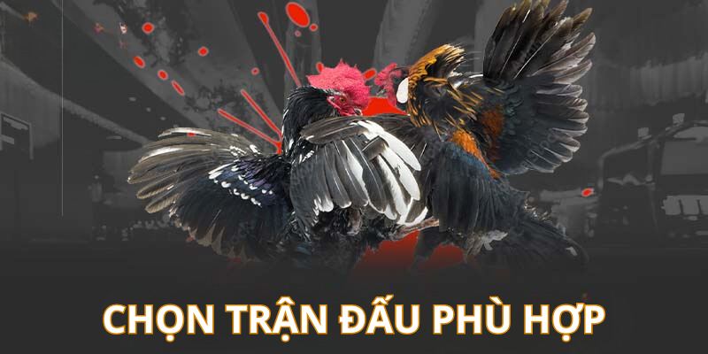 Người tham gia cần chọn trận đấu thích hợp để tăng hiệu quả